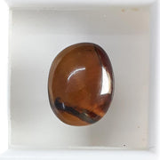 6.25/CT Natural Tiger Eye Gemstone